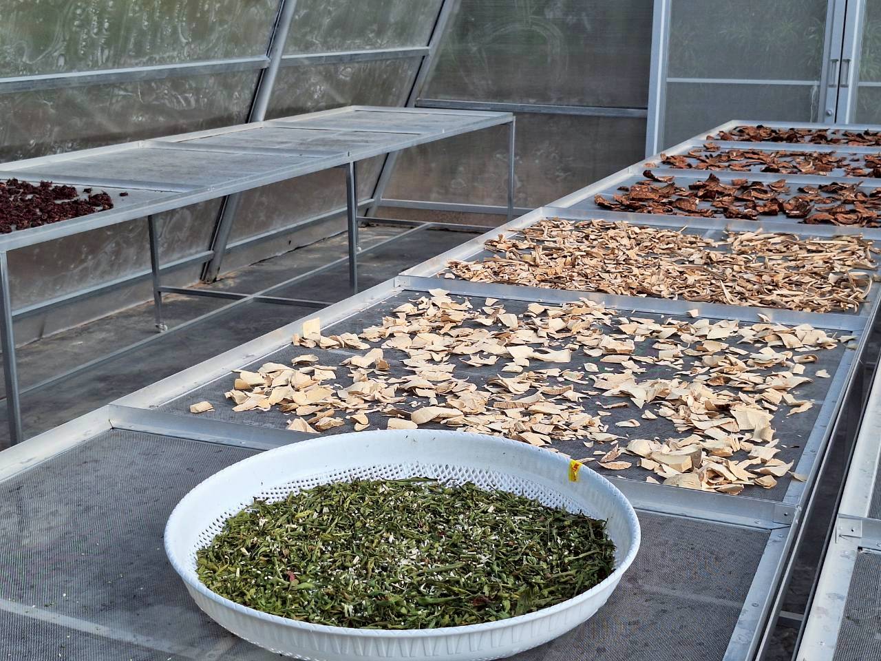 title - ผู้ตรวจราชการ ส.ป.ก. ประชุมตรวจราชการและติดตามความก้าวหน้าผลการดำเนินงานตามแผนการตรวจราชการของผู้ตรวจราชการสำนักงานการปฏิรูปที่ดินเพื่อเกษตรกรรม ประจำปีงบประมาณ พ.ศ. 2569 รอบที่ 1 เขตตรวจราชการที่ 11 จังหวัดมุกดาหาร